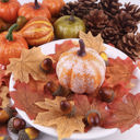  Harvest Decor Pack of Decorations