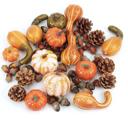  Harvest Decor Pack of Decorations