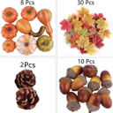  Harvest Decor Pack of Decorations