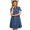 Small Denim Button Front Dress with Short Sleeves Flattering A Line Silhouette Soft Washed Denim Collared Neckline Front Pocket