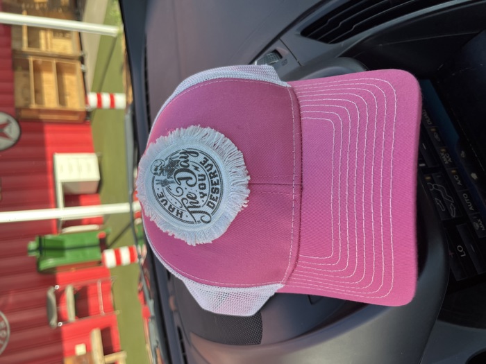 Have the day you deserve trucker hat pink custom orders and colors welcome quick shipping 