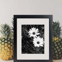 8" X 10"  Black Picture Frame- 2 Sizes