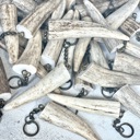  Deer Antler Tine Keychain Keyring