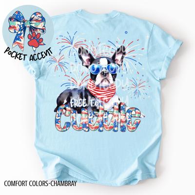 Boston Terrier Free to Cuddle T-Shirt