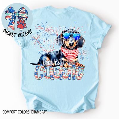 Dachsund Free to Cuddle T-Shirt