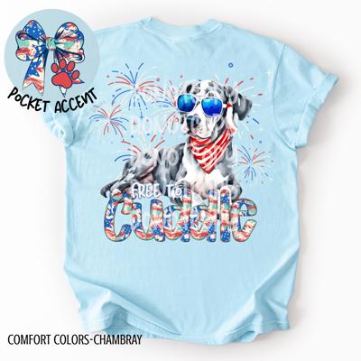 Great Dane Free to Cuddle T-Shirt