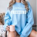 2X light blue Cozy Winter Gildan Sweatshirt Collection – Very Cold University, I Don’t Do Winter, Literally Freezing & More