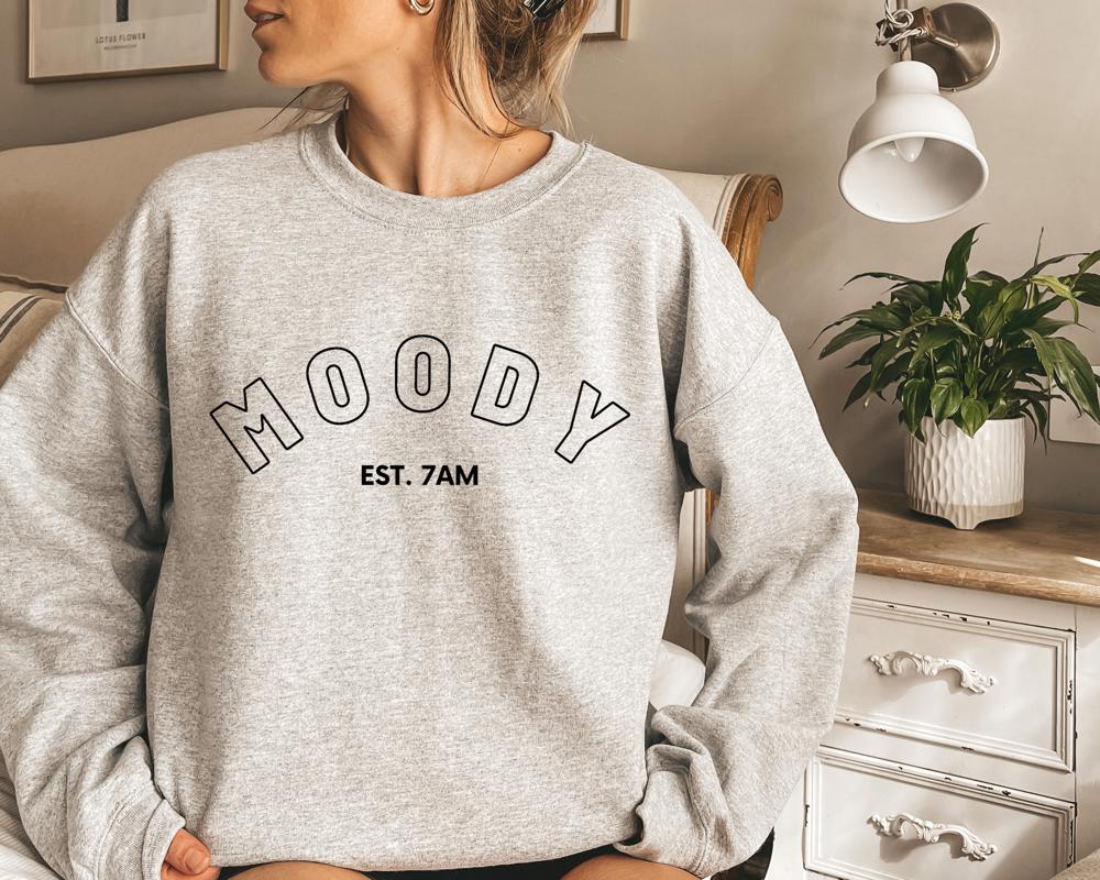 Moody Sweatshirt / Funny Graphic Sweatshirt