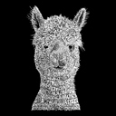  Women's Word Art V-Neck T-Shirt - Alpaca