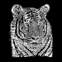  Men's Word Art T-shirt - Big Cats