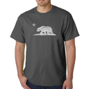 Gray Large Men's Word Art T-shirt - California Bear