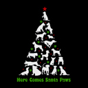  Here Comes Santa Paws - Mens Word Art T-Shirt
