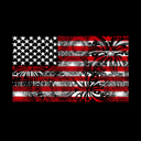  Mens Word Art T-shirt - Fireworks American Flag