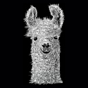  Mens Word Art T-shirt - Llama