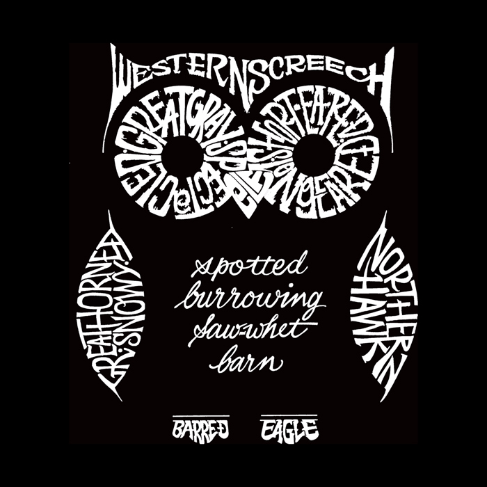 Men's Word Art T-shirt - Owl