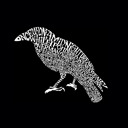  Men's Word Art T-shirt - Edgar Allen Poe's The Raven
