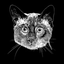  Mens Word Art T-shirt - Siamese Cat