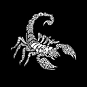  Men's Word Art T-shirt - Types of Scorpions