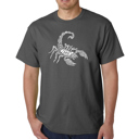 Gray XXL Men's Word Art T-shirt - Types of Scorpions