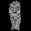  Mens Word Art T-shirt - TIGER