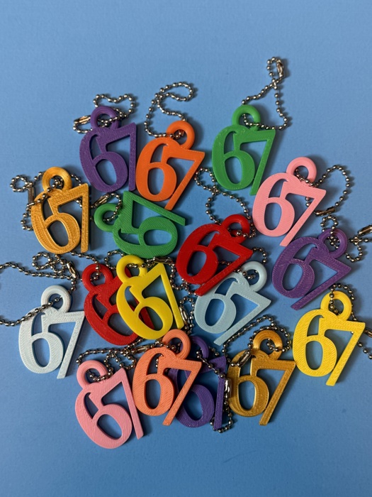 67 Funny Meme Keychain – 3D Printed Number Keychain, School Birthday Handout, Kids & Teens Valentine Favor