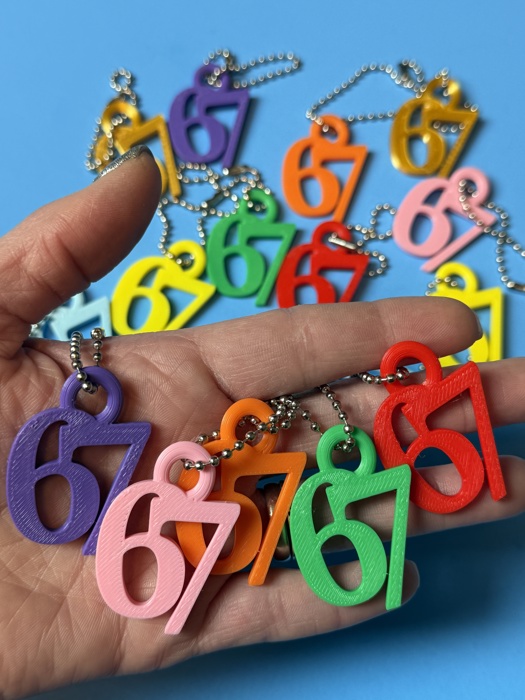 67 Funny Meme Keychain – 3D Printed Number Keychain, School Birthday Handout, Kids & Teens Valentine Favor