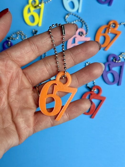 67 Funny Meme Keychain – 3D Printed Number Keychain, School Birthday Handout, Kids & Teens Valentine Favor