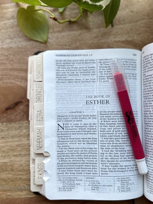 Minimalist Bible and LDS Book of Mormon Tab Stickers Laminated Scriptures Tabs Christian Gift Gold Foil or Silver Foil