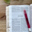 Gold Bible  Minimalist Bible and LDS Book of Mormon Tab Stickers Laminated Scriptures Tabs Christian Gift Gold Foil or Silver Foil