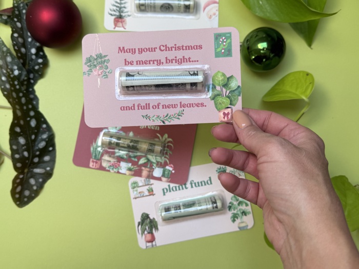 Christmas  Funny Money Card for plant lovers gift idea Plant Lady Mom Indoor Plant Gifts Christmas Card