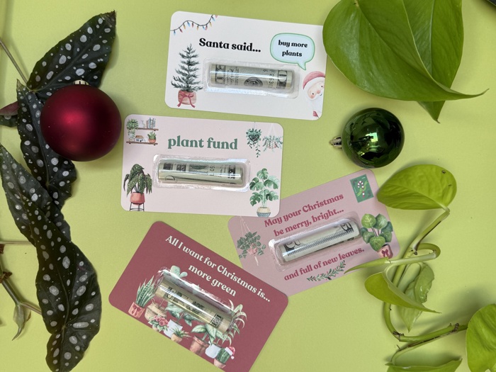 Christmas  Funny Money Card for plant lovers gift idea Plant Lady Mom Indoor Plant Gifts Christmas Card