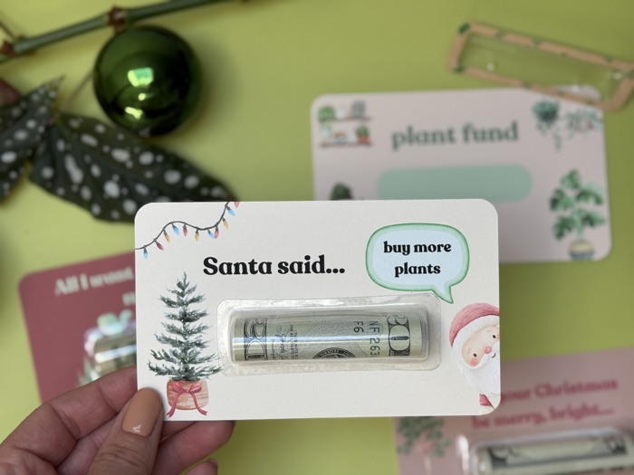 Christmas  Funny Money Card for plant lovers gift idea Plant Lady Mom Indoor Plant Gifts Christmas Card