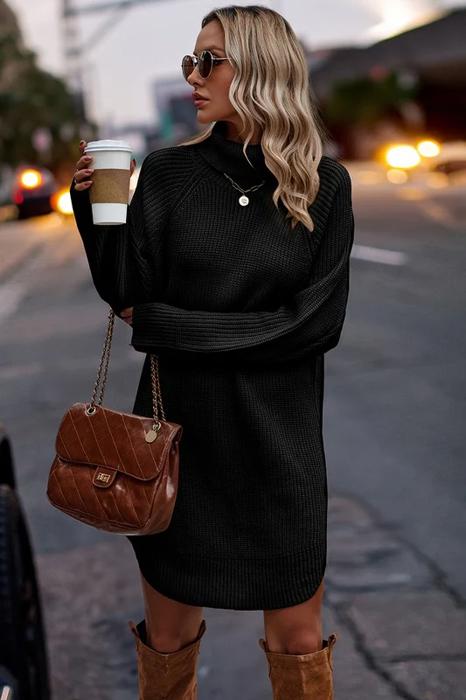 Love Kuza Chunky Turtleneck Sweater Dress