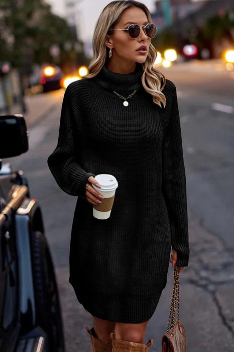 Love Kuza Chunky Turtleneck Sweater Dress