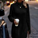  Love Kuza Chunky Turtleneck Sweater Dress