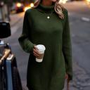 Love Kuza Chunky Turtleneck Sweater Dress