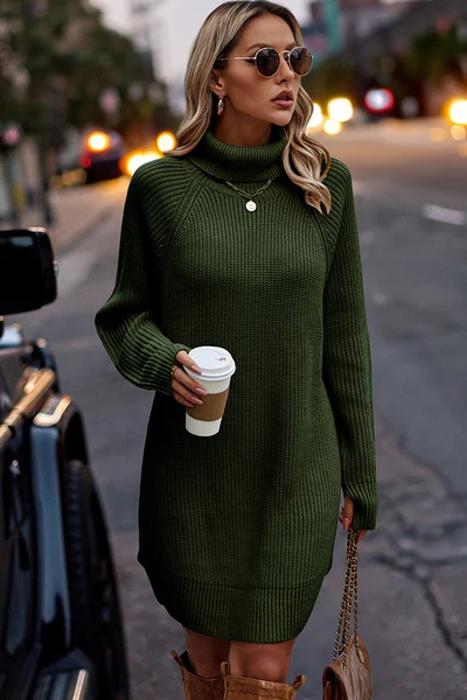 Love Kuza Chunky Turtleneck Sweater Dress