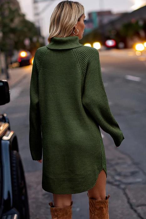 Love Kuza Chunky Turtleneck Sweater Dress