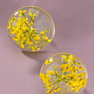 Very Carrot Yellow Half Dome Square Dried Flower Stud Earrings