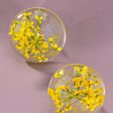  Very Carrot Yellow Half Dome Square Dried Flower Stud Earrings