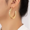  Very Carrot Spiral Twist Hoop Earrings