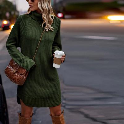 Love Kuza Chunky Turtleneck Sweater Dress