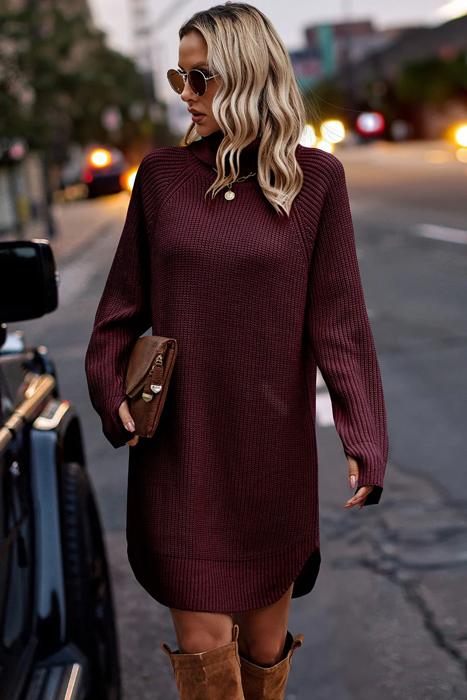 Love Kuza Chunky Turtleneck Sweater Dress