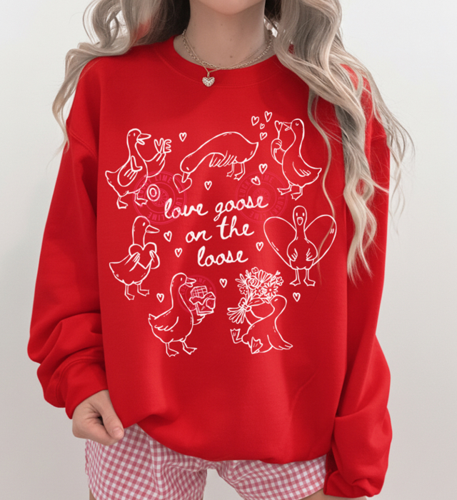Valentine Goose Sweatshirt, Love Goose on the Loose Sweatshirt, Funny Valentines Day Shirt, Womens Valentine Gift, Love Tshirt, Heart Shirt