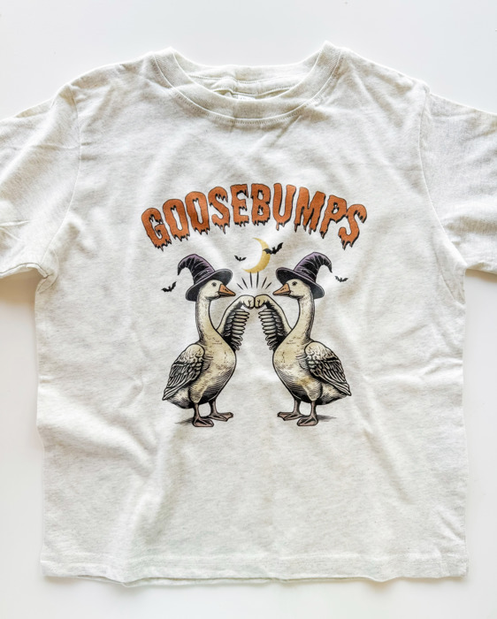 Goosebumps Halloween Oatmeal Heather Tee