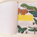  May + October Seasonal Self-Care Planner® / 5 Book Set