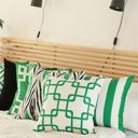 Green Single Decorative Geometric Stripe Throw Pillow Cover 18" in. x 18" in. Square for Couch, Bedding