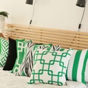 Black & Green Geometric Decorative Throw Pillow Cover 18" in. x 18" in.  Square for Couch, Bedding