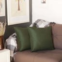 Fern Green 18X18" Honey Set of 2 Decorative Throw Pillow Cover Solid Color Lumbar & Square Pillowcase for Couch, Bedding