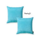 Sky Blue 20X20" Honey Set of 2 Decorative Throw Pillow Cover Solid Color Lumbar & Square Pillowcase for Couch, Bedding